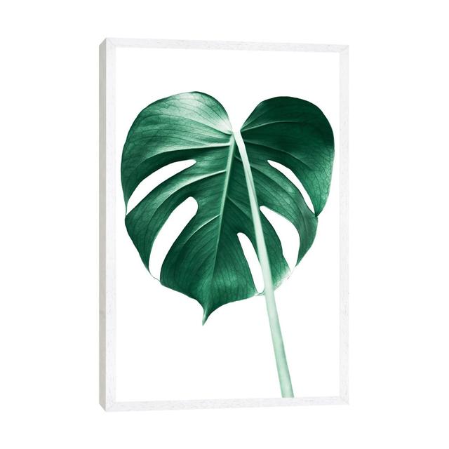 Monstera Leaf by Sisi & Seb - Gallery-Wrapped Canvas Giclée on Canvas 17 Stories Format: White Framed, Size: 66.04cm H x 45.72cm W x 3.81cm D on Productcaster.