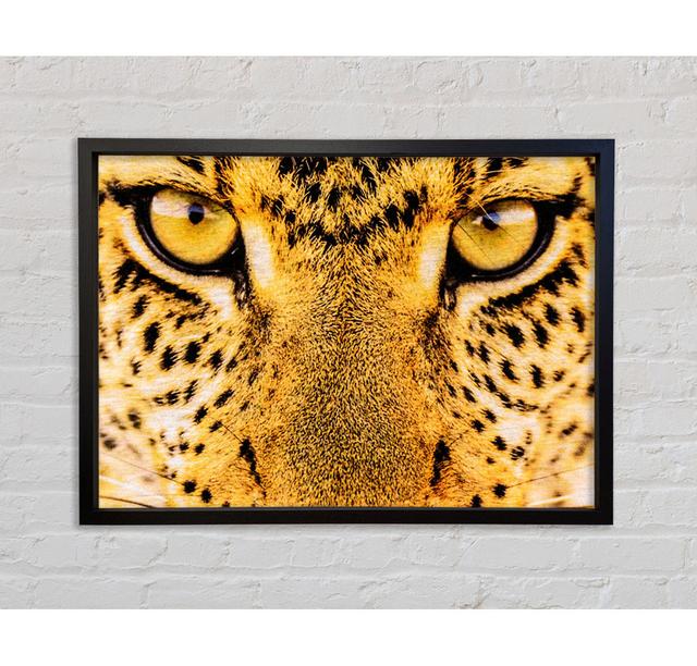 Single Picture Frame Art Prints on Canvas Bright Star Size: 100cm H x 141.4cm W x 3.3cm D on Productcaster.