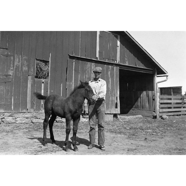 Farmer With Foal In Barnyard 1935, Retro by NNehring - No Frame Art Prints on Canvas Brambly Cottage Size: 61cm H x 91cm W on Productcaster.