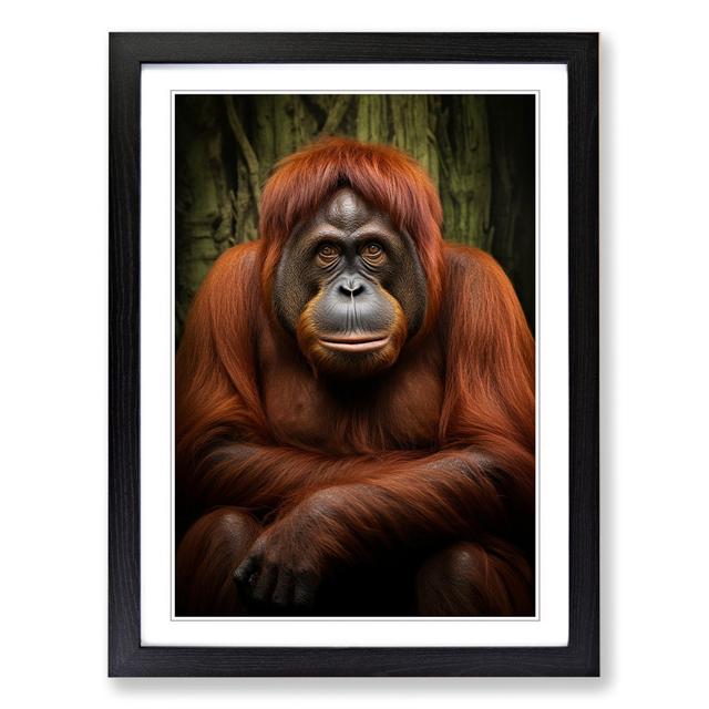 XYZ-FRM-V1223-1198 Print Latitude Vive Format: Black Framed, Size: 64cm H x 46cm W x 2cm D on Productcaster.