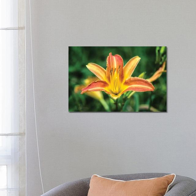 Orange Lily in the Garden - Wrapped Canvas Photograph Latitude Run Size: 45.72cm H x 66.04cm W x 1.91cm D on Productcaster.