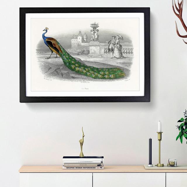 Admiring a Peacock - Picture Frame Painting Print East Urban Home Size: 27cm H x 36cm W x 2cm D, Frame Option: Black Framed on Productcaster.