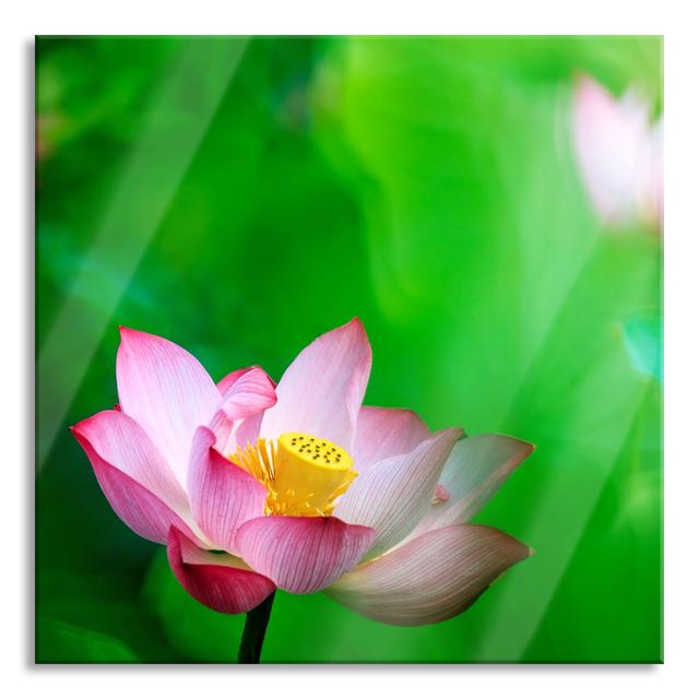 Beautiful Lotus Flowers - Unframed Photograph on Glass Brayden Studio Size: 70cm H x 70cm W x 0.4cm D on Productcaster.