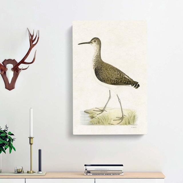 Green Sandpiper by Von Wright - Wrapped Canvas Graphic Art Print East Urban Home Size: 91cm H x 60cm W x 3cm D on Productcaster.