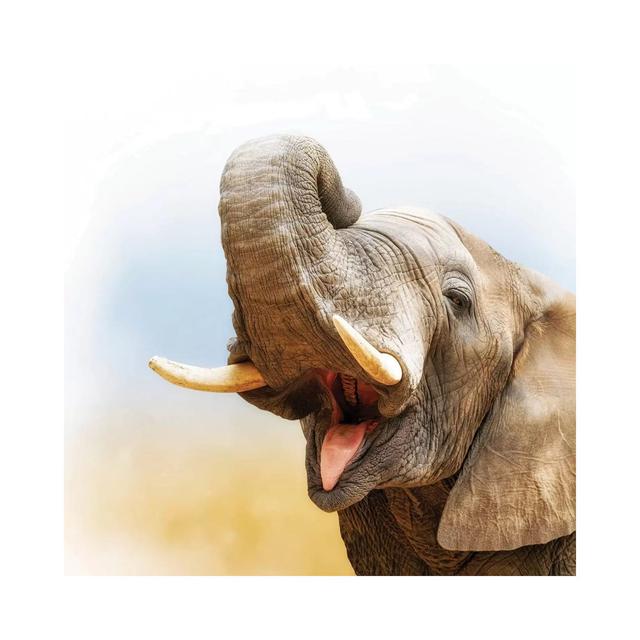 African Elephant Closeup With Pastel Background by Susan Schmitz - Wrapped Canvas Gallery-Wrapped Canvas Giclée Latitude Run Size: 30.48cm H x 30.48cm on Productcaster.