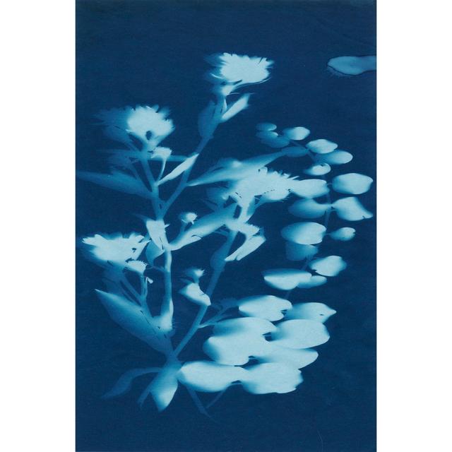 Cyanotype No.14 - Wrapped Canvas Print Ebern Designs Size: 91cm H x 61cm W on Productcaster.