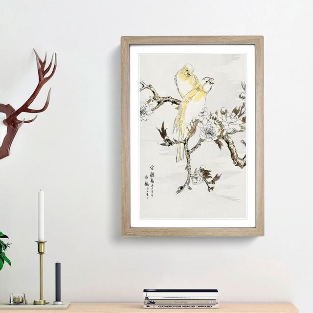 Canary Birds & Peach Blossom by Numata Kashu - Picture Frame Art Print East Urban Home Frame Option: Oak Framed, Size: 87cm H x 62cm W x 2cm D on Productcaster.