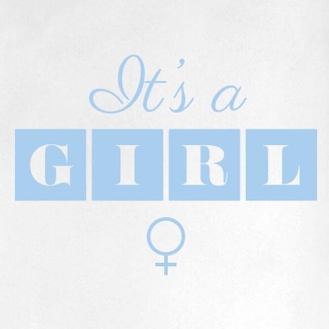 It's a Girl Door Room Wall Sticker 17 Stories Colour: Light Blue on Productcaster.