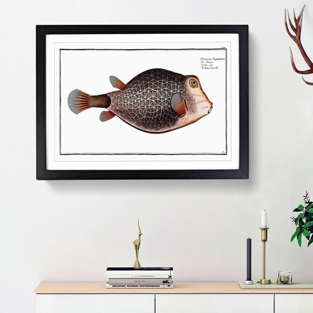 Knitted Trunk-Fish by M.E. Bloch - Picture Frame Graphic Art Print East Urban Home Frame Option: Black Framed, Size: 27cm H x 36cm W x 2cm D on Productcaster.