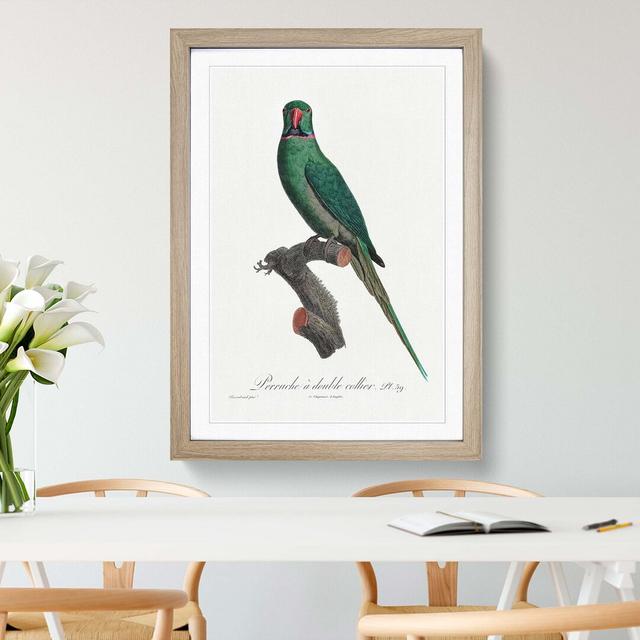 Rose-Ringed Parakeet by F. Levaillant - Picture Frame Graphic Art Print East Urban Home Size: 50cm H x 35cm W x 2cm D, Frame Option: Oak on Productcaster.