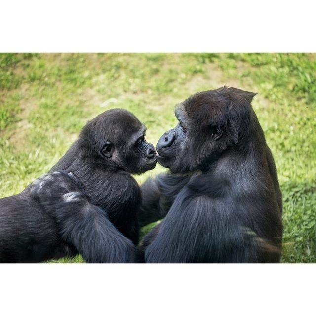 Baby Gorilla With Mother by Luckybusiness - Wrapped Canvas Print Ebern Designs Size: 81.28cm H x 121.92cm W on Productcaster.