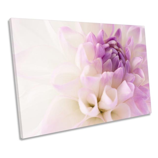 White Dahlia Flower Violet Head - Wrapped Canvas Print Ebern Designs Size: 30.5cm H x 45.7cm W x 2cm D on Productcaster.