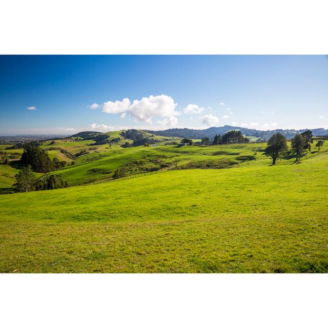 New Zealand Countryside by Denizunlusu - No Frame Art Prints on Canvas Alpen Home Size: 51cm H x 76cm W on Productcaster.