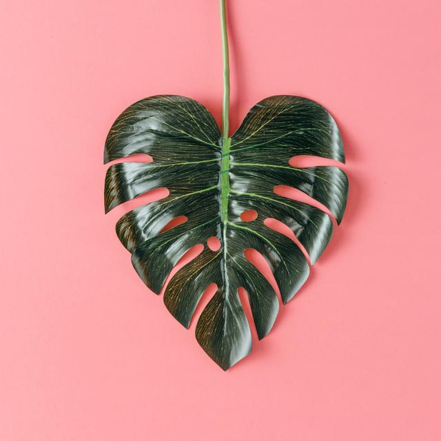 Tropical Leaf in Shape of a Heart by Ivan101 - Wrapped Canvas Photograph Bay Isle Home Size: 91cm H x 91cm W on Productcaster.