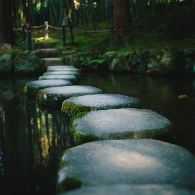 Zen Garden Stepping Stones In Kyoto Union Rustic Size: 122cm H x 122cm W x 3.8cm D on Productcaster.