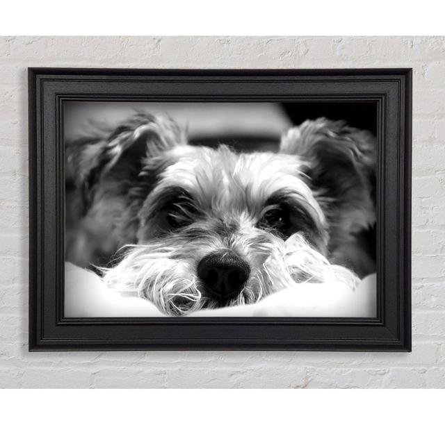 Single Picture Frame Art Prints Ebern Designs Size: 42cm H x 59.7cm W on Productcaster.