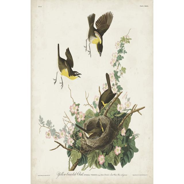 Pl 137 Yellow-Breasted Chat by John Audubon - Wrapped Canvas Painting Marlow Home Co. Size: 91cm H x 61cm W on Productcaster.