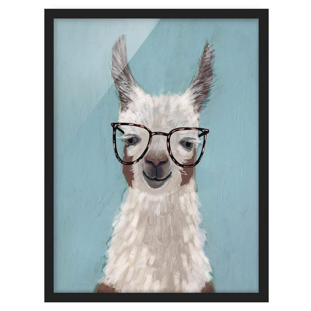 Picture With Frame - Lama With Glasses II - Portrait 4:3 Maturi Frame Option: Black, Size: 40cm H x 30cm W x 2cm D on Productcaster.