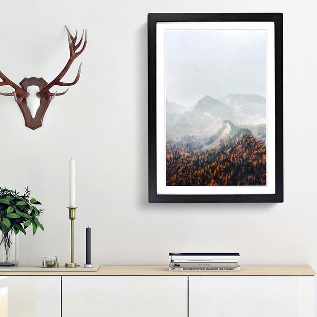 Orange Tipped Forest - Picture Frame Graphic Art Print East Urban Home Size: 36cm H x 27cm W x 2cm D, Frame Option: Black Framed on Productcaster.