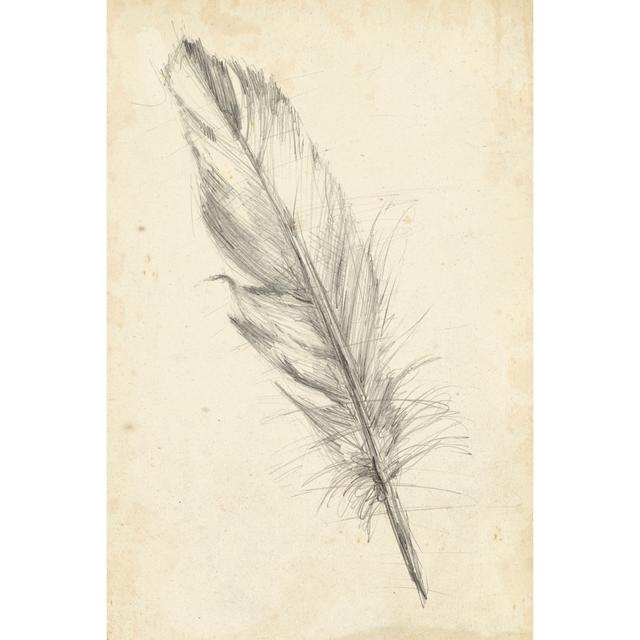 Feather Sketch III by Ethan Harper - Wrapped Canvas Drawing Latitude Vive Size: 91cm H x 61cm W on Productcaster.