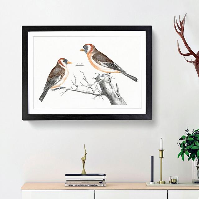 Goldfinches by Johan Teyler - Picture Frame Painting Print East Urban Home Size: 36cm H x 48cm W x 2cm D, Frame Option: Black Framed on Productcaster.