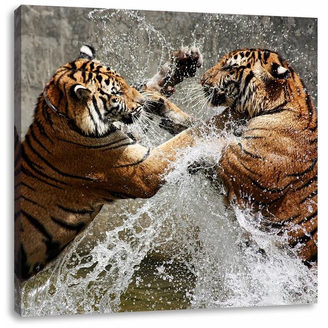 Leinwandbild Kämpfende Tiger im Wasser East Urban Home Größe: 60 cm H x 60 cm B on Productcaster.