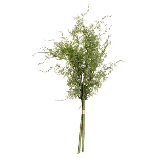 Asparagus Fern Magnolia Bush The Seasonal Aisle on Productcaster.