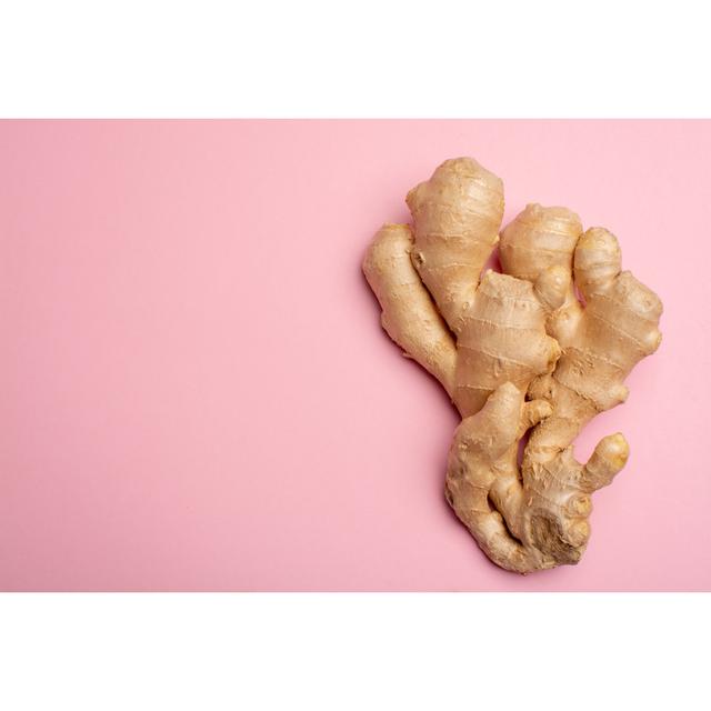 Ginger Root by Barmalini - Wrapped Canvas Print Ebern Designs Size: 20cm H x 30cm W x 3.8cm D on Productcaster.