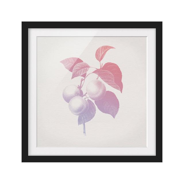 Modern Vintage Botany Peach Pink Purple - Picture Frame Graphic Art Rosalind Wheeler Size: 50cm H x 50cm W x 2cm D, Frame Option: Black on Productcaster.