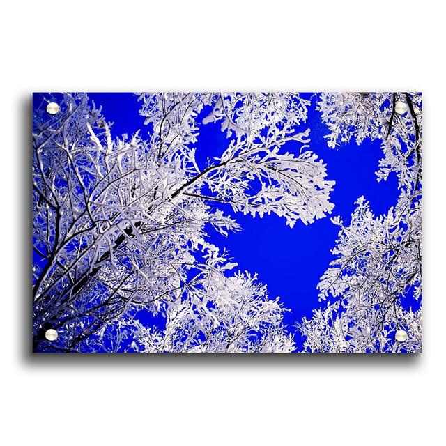 Winter Ice Tree in Sunlight - Unframed Graphic Art Print on Paper East Urban Home Size: 21cm H x 29.7cm W on Productcaster.