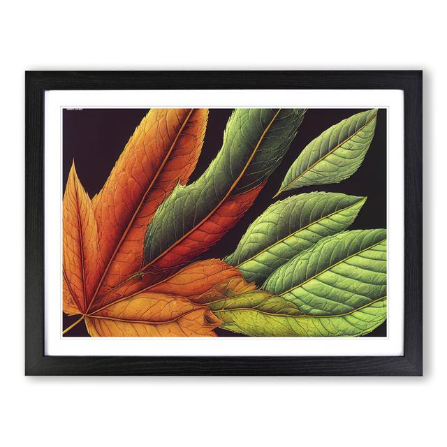 Extravagant Leaf - Picture Frame Graphic Art Latitude Run Frame Colour: Black, Size: 46cm H x 64cm W x 2cm D on Productcaster.