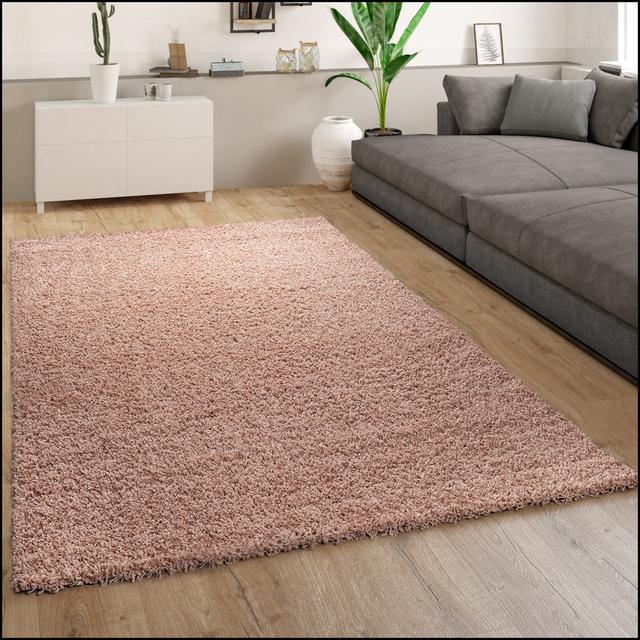 Jeremas Sand Rug 17 Stories Rug Size: Rectangle 300 x 400cm on Productcaster.