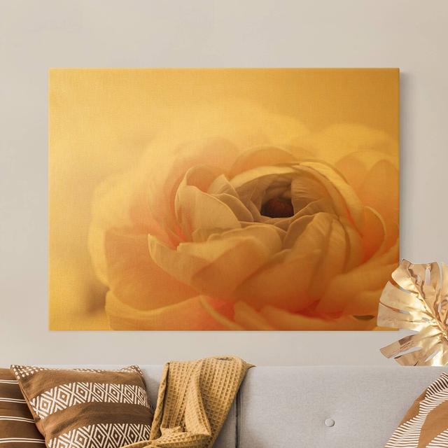 Leinwandbild Pink Flower in Focus Rosalind Wheeler Format: 260g/m² Canvas, Rahmen-Option: Gold, Größe: 120 cm H x 160 cm B on Productcaster.