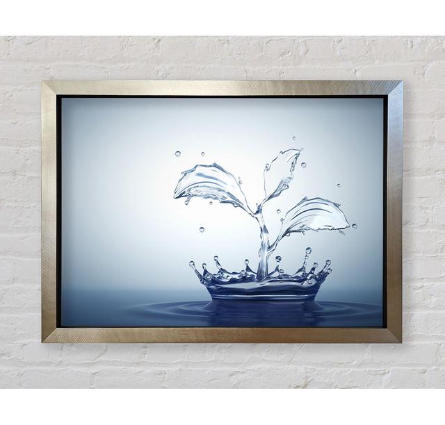 Water Splash Plant Gerahmter Druck Haus am Meer Größe: 42cm H x 59,7cm B on Productcaster.