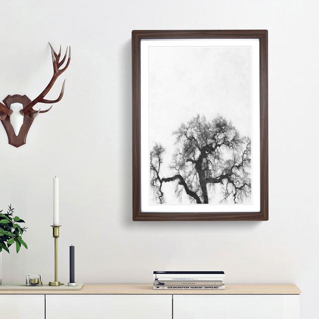 Old Oak Tree - Picture Frame Painting Print East Urban Home Size: 63cm H x 45cm W x 2cm D, Frame Option: Walnut Framed on Productcaster.