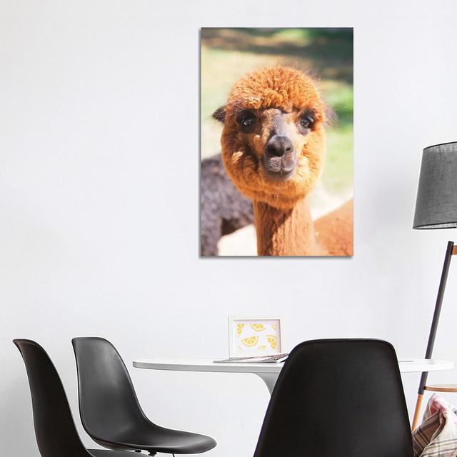 Puffy Brown Alpaca by Susan Vizvary - Gallery-Wrapped Canvas Giclée on Canvas 17 Stories Format: Canvas, Size: 101.6cm H x 66.04cm W x 3.81cm D on Productcaster.