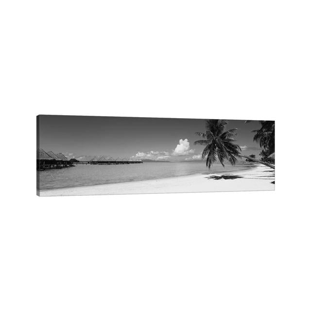 Palm Tree on the Beach, Moana Beach, Bora Bora, Tahiti, French Polynesia by Panoramic Images - Wrapped Canvas Panoramic Graphic Art Highland Dunes Siz on Productcaster.