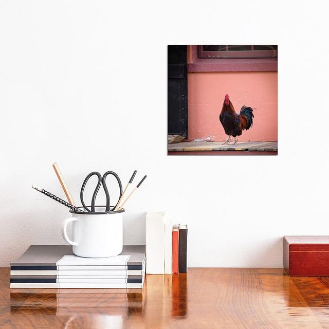 Rooster Portrait by Karen Burke - Wrapped Canvas Print Brambly Cottage Size: 30.48cm H x 30.48cm W x 1.91cm D on Productcaster.