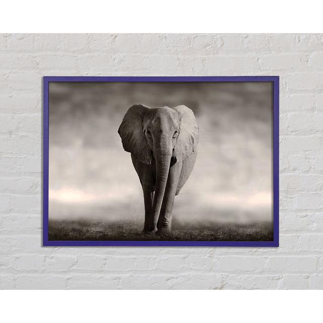 Lonesome Elephant - Single Picture Frame Print Brayden Studio Size: 29.7cm H x 42cm W x 2cm D on Productcaster.