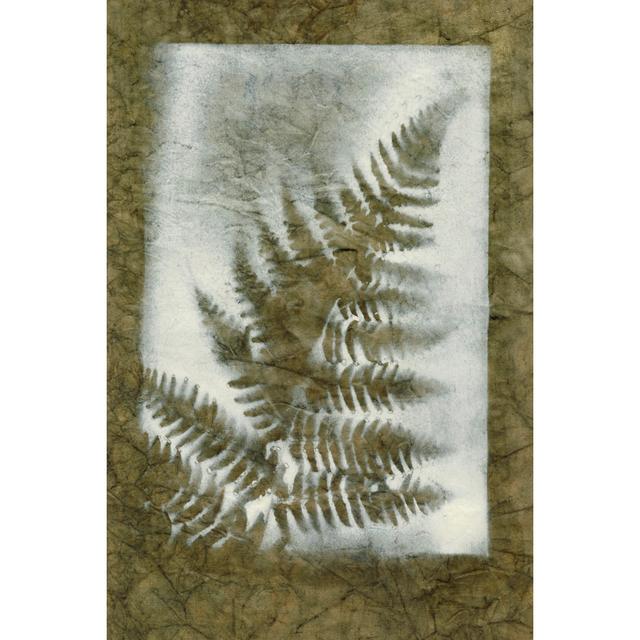 Shadows and Ferns I - Wrapped Canvas Graphic Art Pergo Classics Size: 30cm H x 20cm W x 3.8cm D on Productcaster.