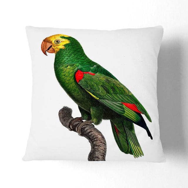 Crowned Amazon Parrot by F. Levaillant Cushion with Filling East Urban Home Size: 40 x 40 cm, Backing Colour: Black on Productcaster.