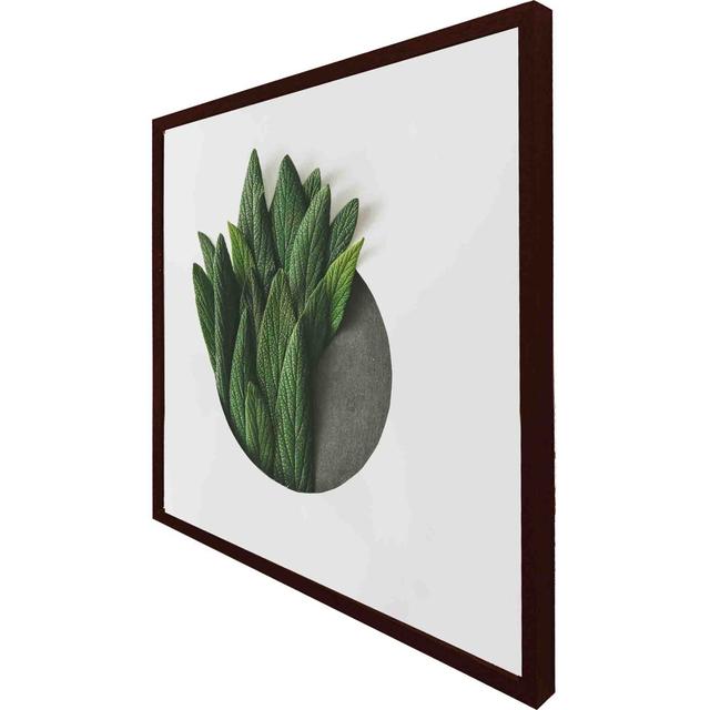 Iatan Minimal Green Leaves - Single Picture Frame Print Latitude Run Size: 51cm H x 51cm W x 4cm D, Frame Colour: Brown on Productcaster.