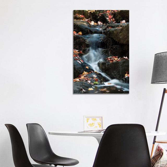 USA, Maine. Autumn Leaves Along Small Waterfall on Duck Brook, Acadia National Park. by Judith Zimmerman - Wrapped Canvas Graphic Art Union Rustic Siz on Productcaster.