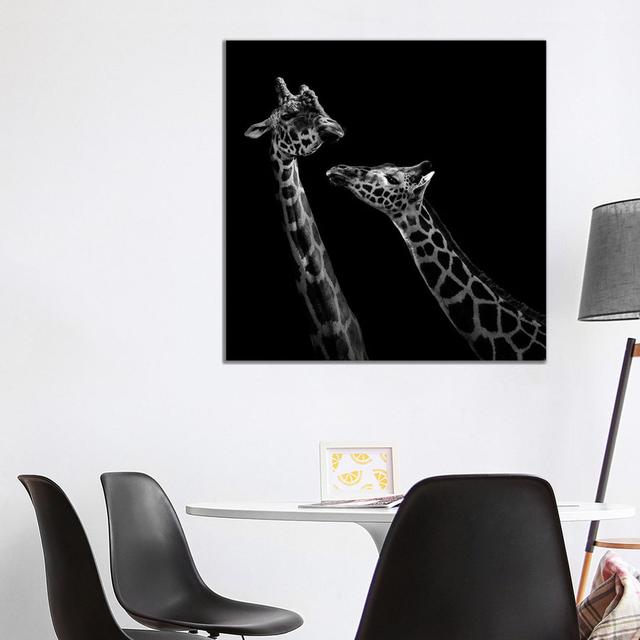 Two Giraffes in Black and White by Lukas Holas - Wrapped Canvas Photograph Latitude Run Size: 93.98cm H x 93.98cm W x 3.81cm D on Productcaster.