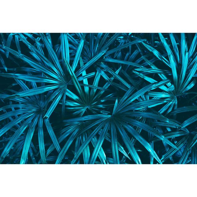 Kalyan Tropical Palm Leaves by Pernsanitfoto - No Frame Print on Canvas 17 Stories Size: 51cm H x 76cm W x 3.8cm D on Productcaster.