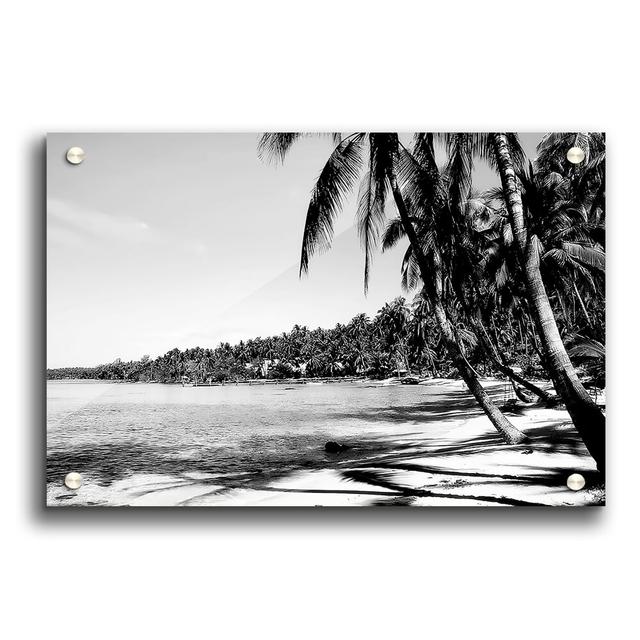 Palms Beach - Unframed Photograph Print on Acrylic East Urban Home Size: 59.4cm H x 84.1cm W on Productcaster.