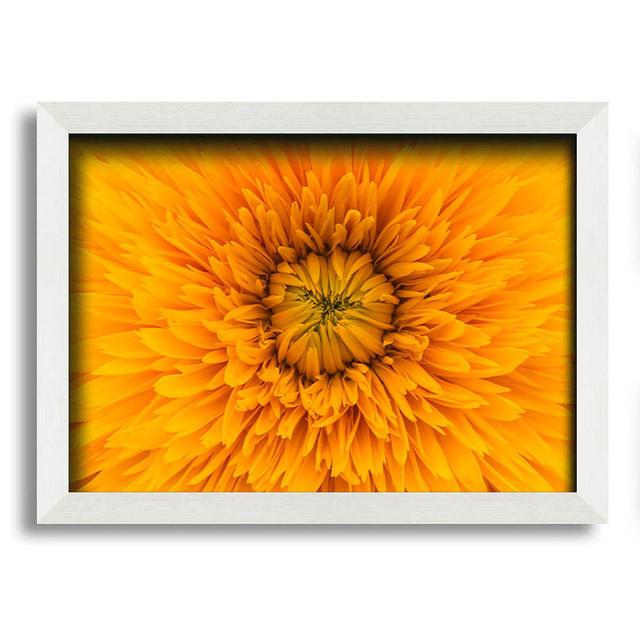 Gorgeous Yellow Flower Delight - Single Picture Frame Art Prints Latitude Run Size: 21cm H x 29.7cm W x 10cm D on Productcaster.