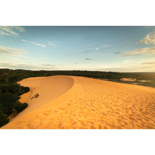 Sanddünen im JalapÃ£o State Park, Tocantins von FG Trade - Druck ohne Rahmen auf Leinwand Natur Pur Größe: 20 cm H x 30 cm B on Productcaster.