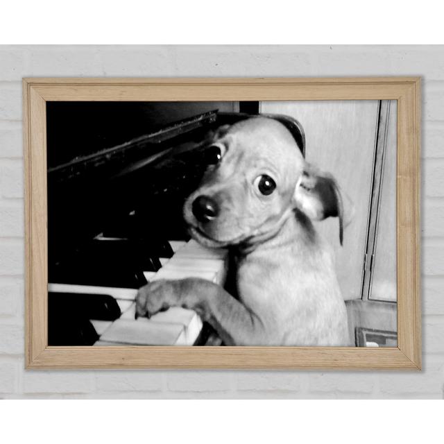 Piano Pup - Single Picture Frame Art Prints Brayden Studio Size: 29.7cm H x 42cm W x 1.5cm D on Productcaster.