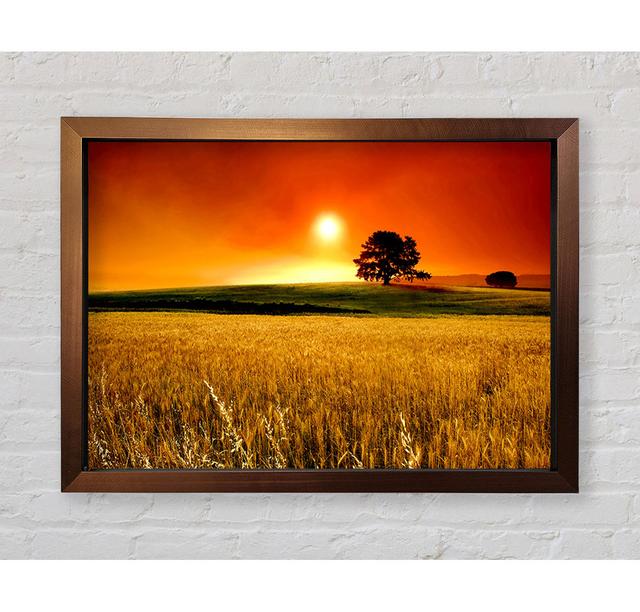 Stunning Countryside Sunset - Single Picture Frame Art Prints Ebern Designs Size: 59.7cm H x 84.1cm W x 3.4cm D on Productcaster.